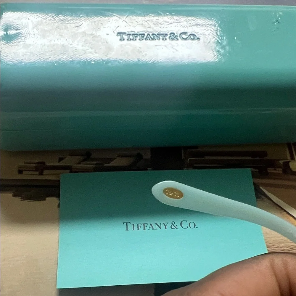 Tiffany & Co. Turquoise Eyewear